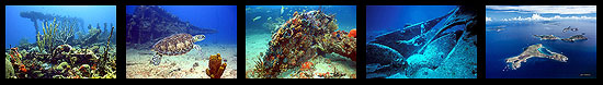 BVI The Wreck of the R.M.S. Rhone